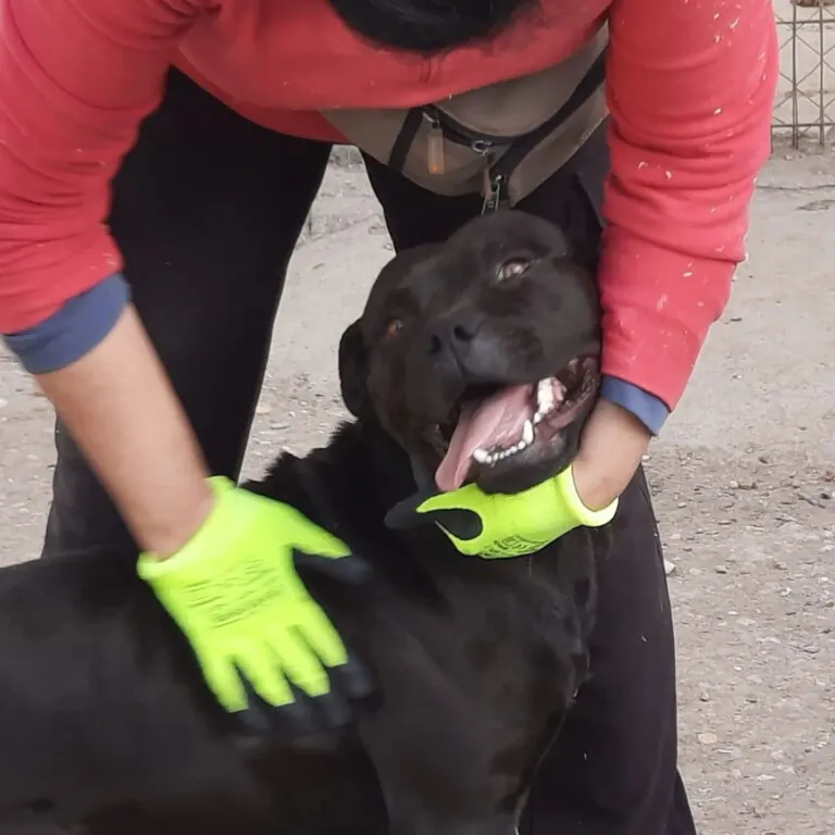 Asociacion Naciendo un Sol3 768x768