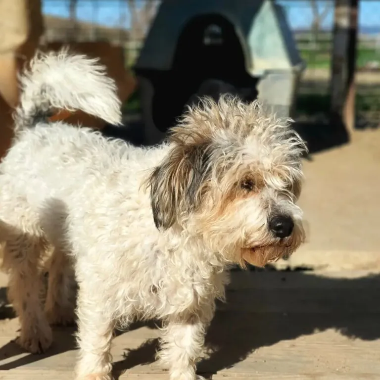 Asociacion Naciendo un Sol4 768x768