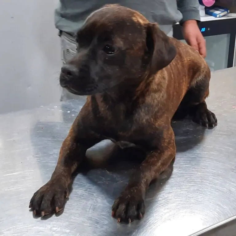 Asociacion Naciendo un Sol5 768x768