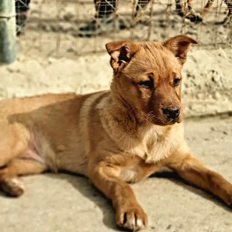 Asociacion Naciendo un Sol6 768x768