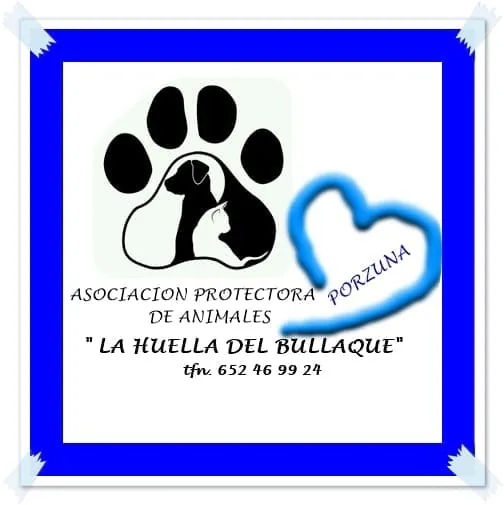 Asociacion protectora huellas del bullaque logo