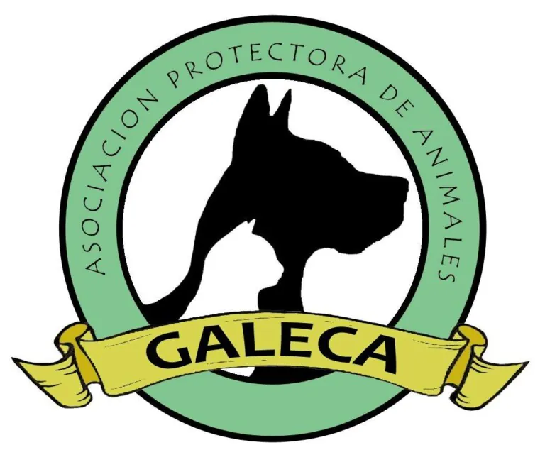 Aspa Galeca logo 768x658