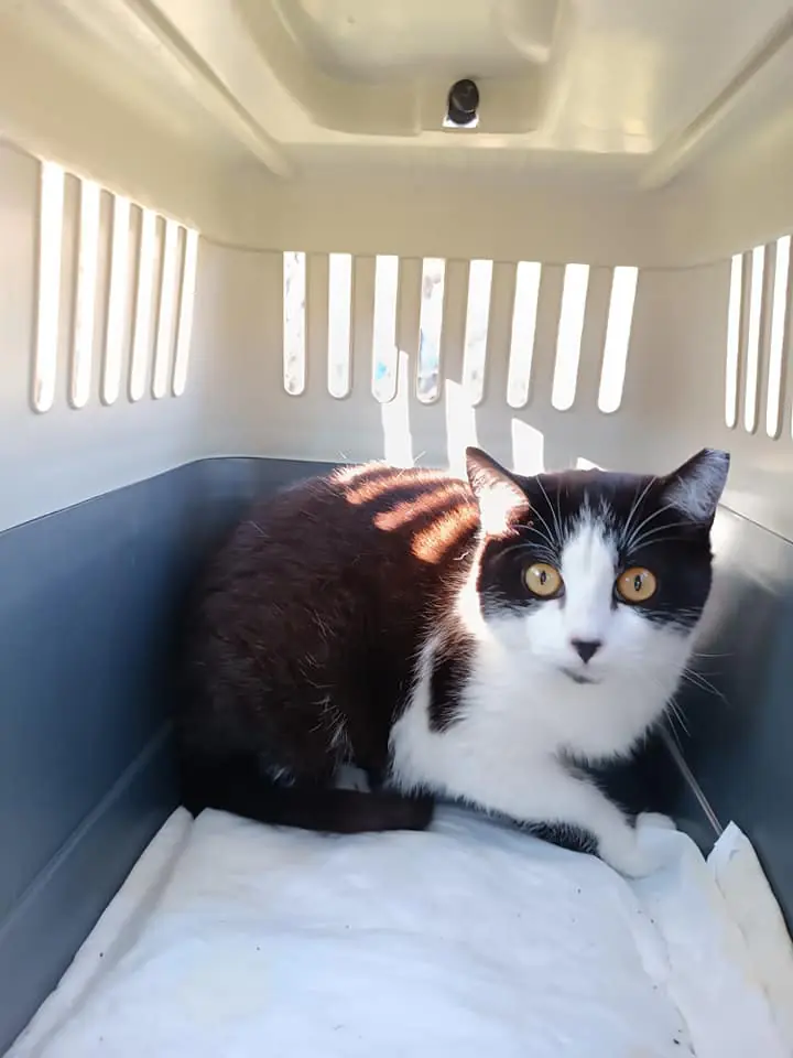 BCats Asociacion Metodo CER Daimiel1