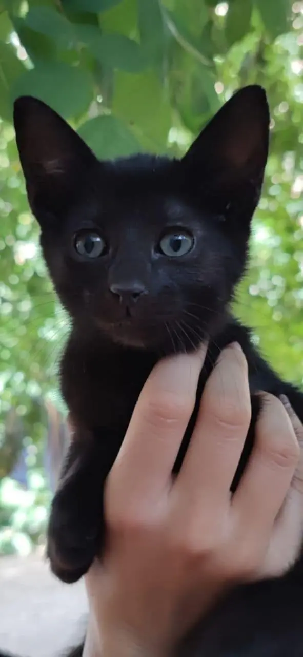 BCats Asociacion Metodo CER Daimiel5