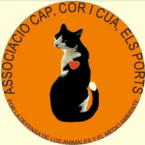 Cap Cor i Cua Els Ports logo