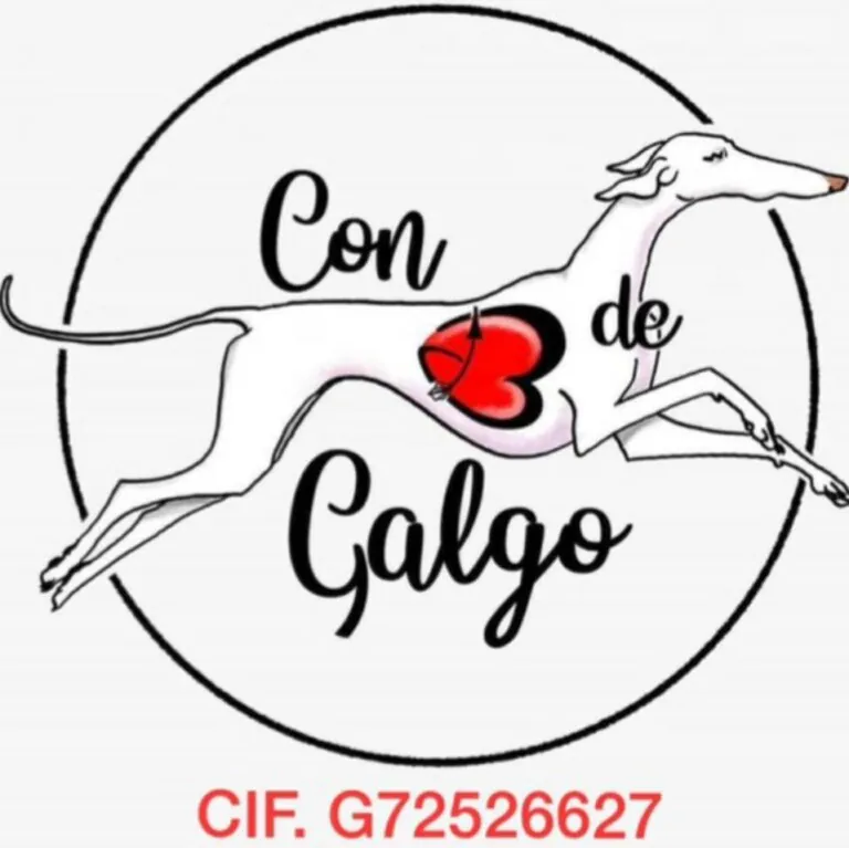Con b de galgo logo 1 768x767