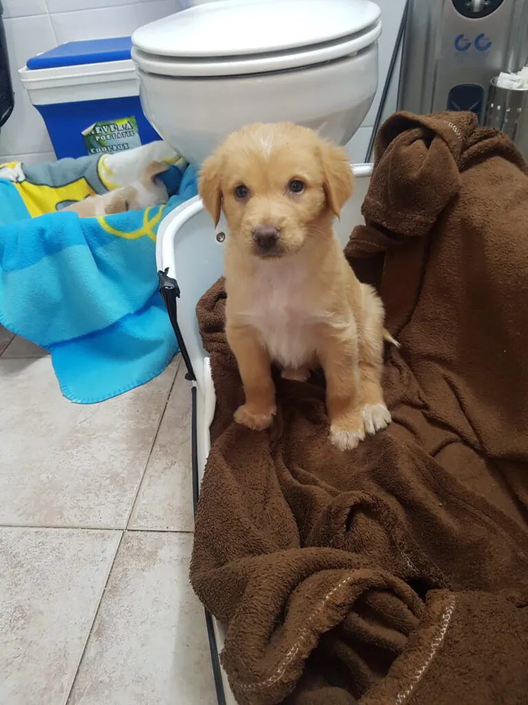 Dejan Huella5 768x1024