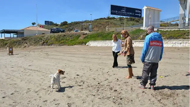 El Castillo – Playa para Perros en Fuengirola2