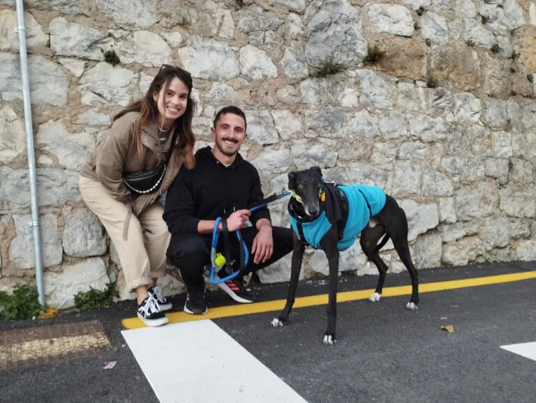 Galgos Podencos Cantabria4 768x578