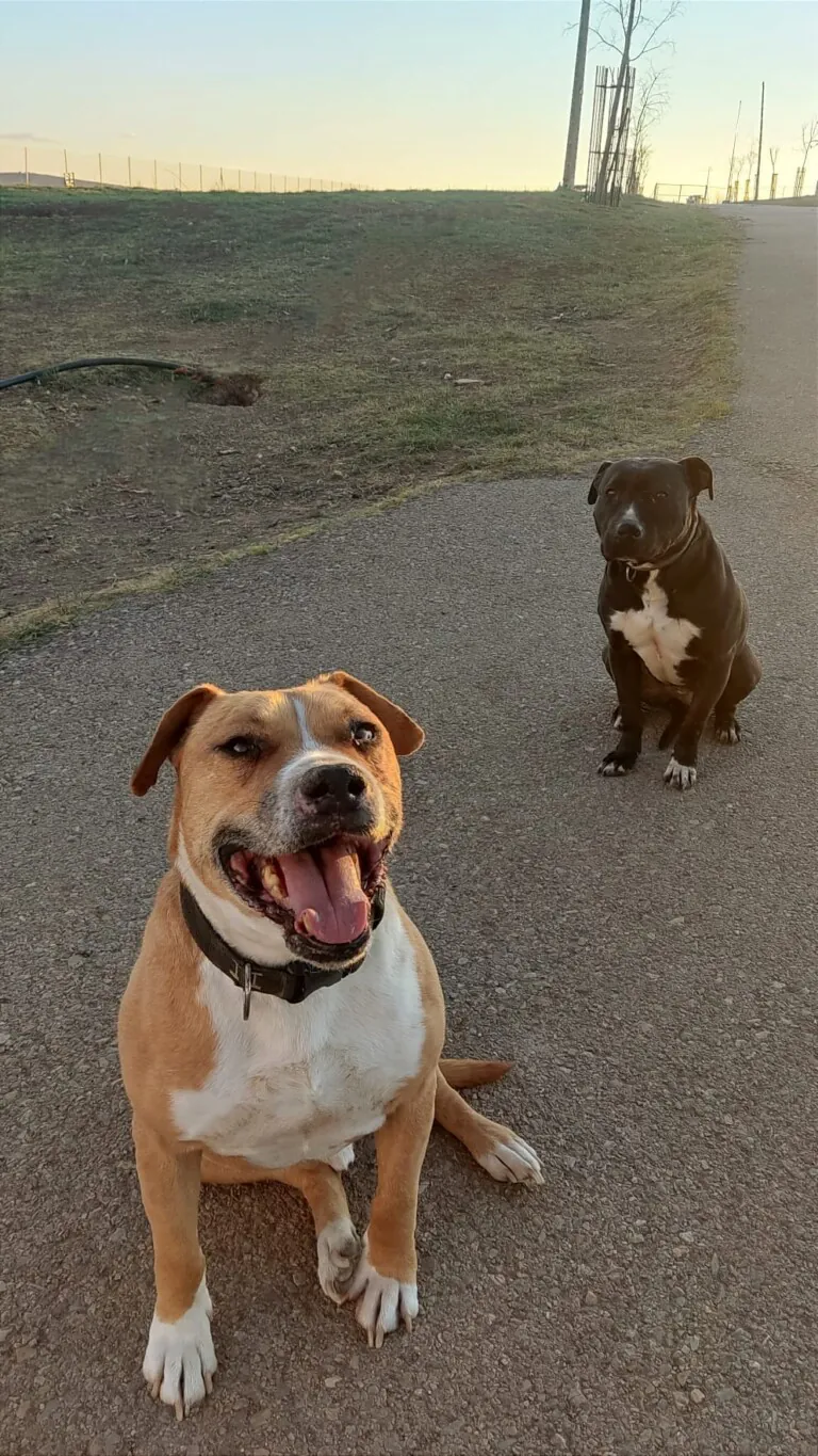 La Bienvenida1 768x1365