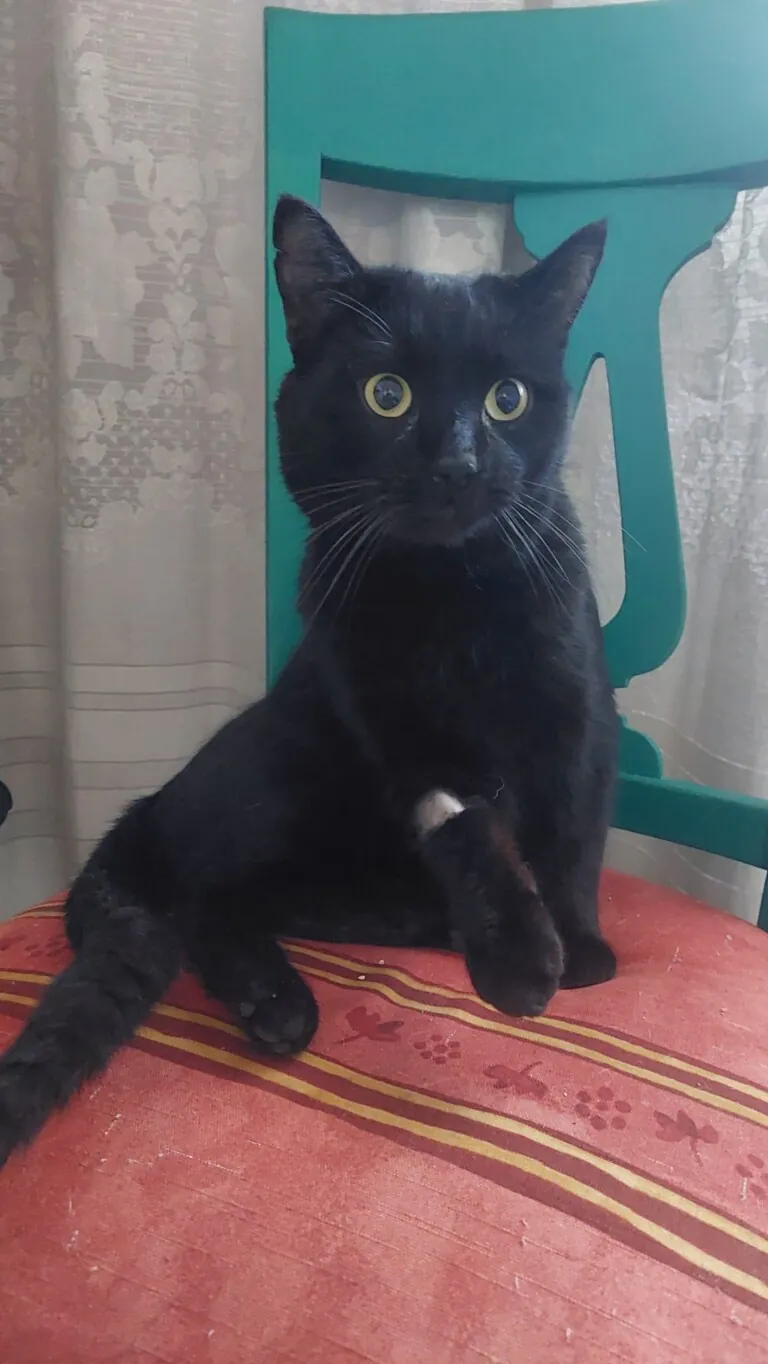 La Bienvenida2 768x1364