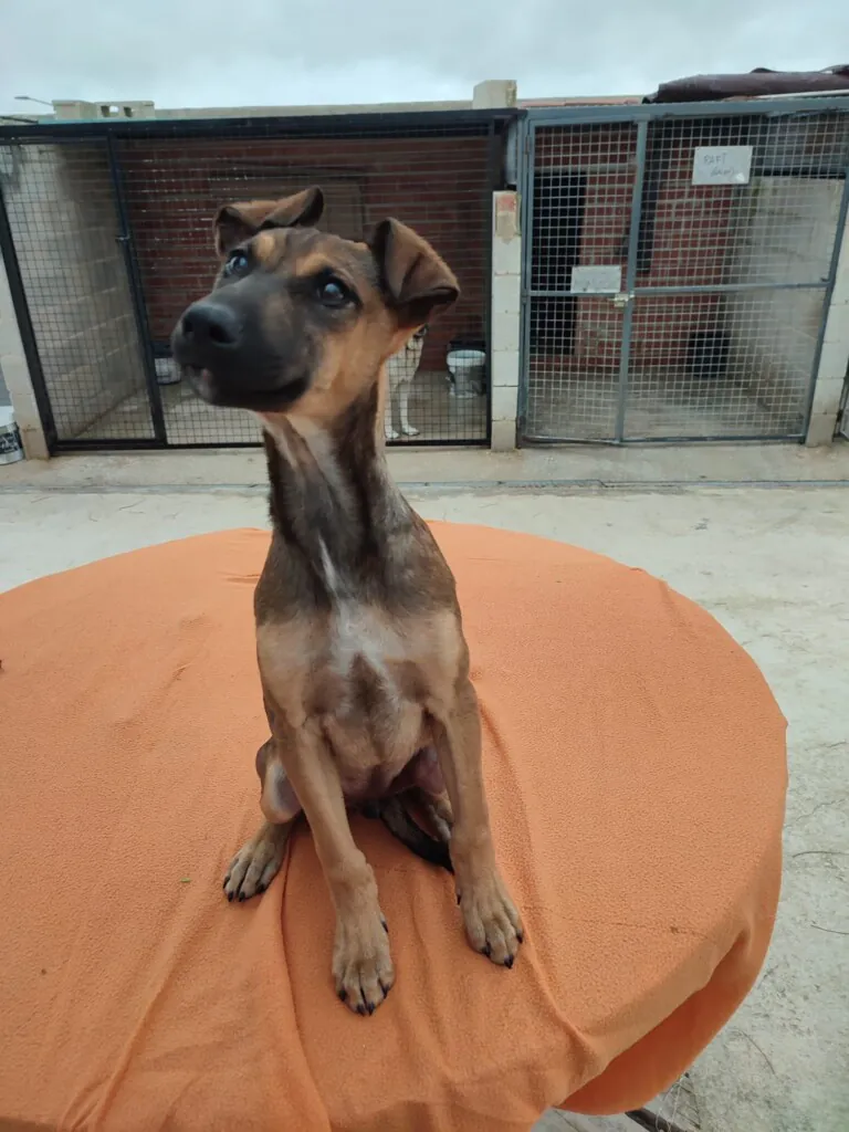 La Rambla es su Voz3 768x1024