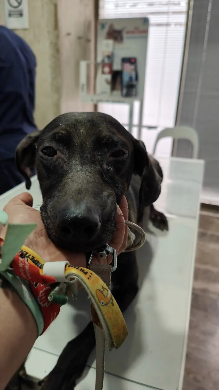 La Rambla es su Voz6 768x1365