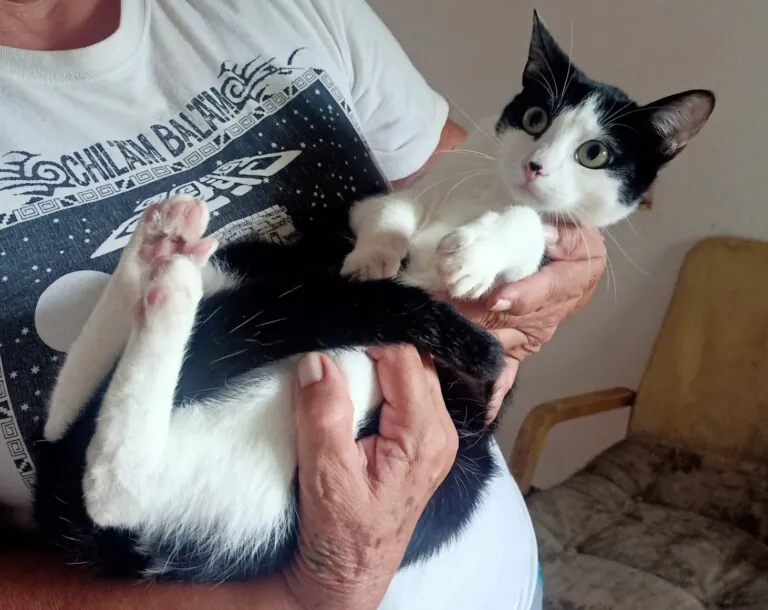 La morada animalista6 768x610