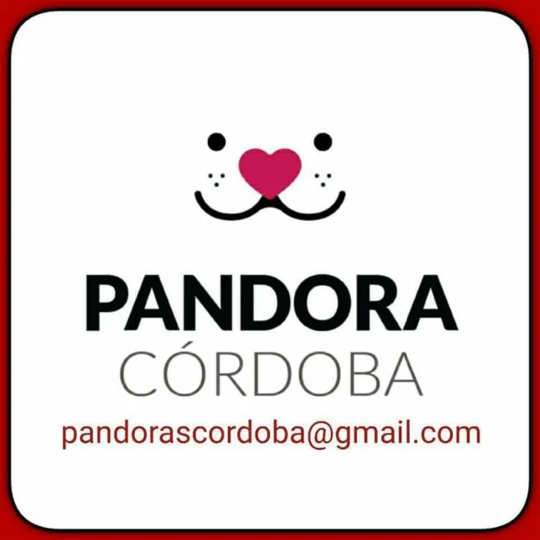 Pandora Cordoba logo 768x768