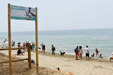 Playa Canina Ventura del Mar en Malaga3