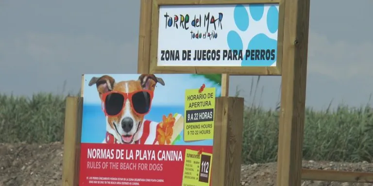 Playa Canina de Torre del Mar Playa 1