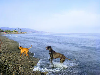 Playa Canina de Torre del Mar Playa3