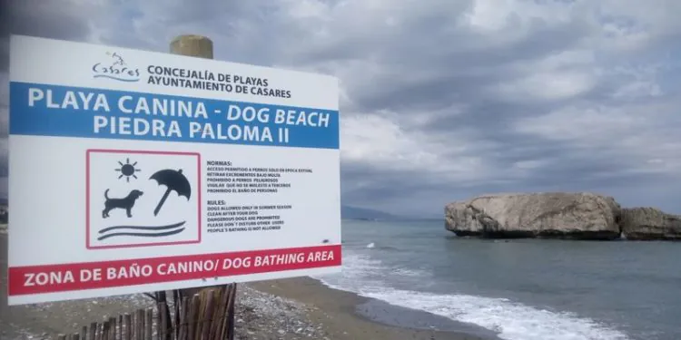 Playa De Piedra Paloma Para Perros