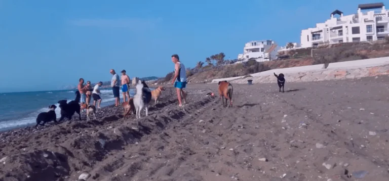 Playa De Piedra Paloma Para Perros2 768x358