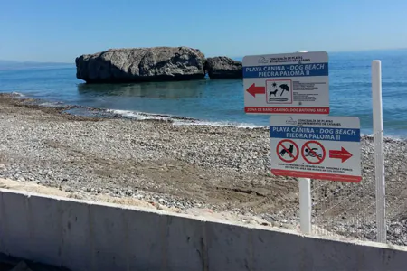 Playa De Piedra Paloma Para Perros3