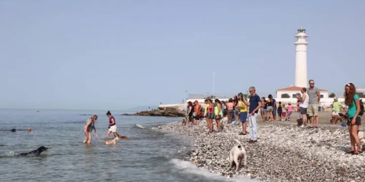 Playa Para Perros En Torrox en Malaga