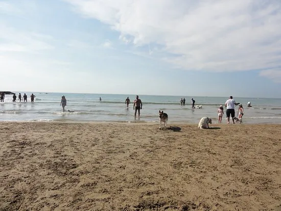 Playa de Les Salines Playa de Cubelles perros3