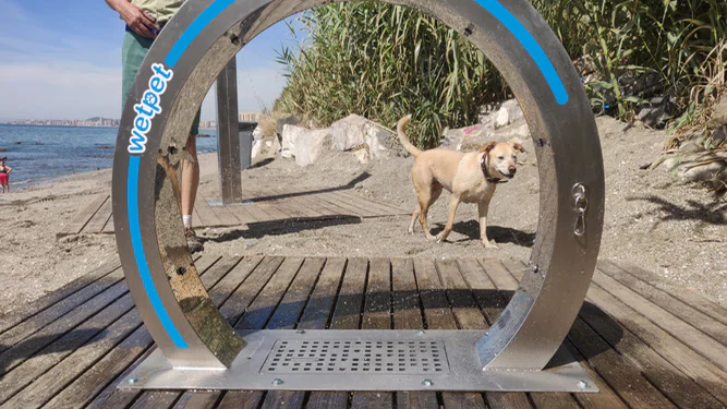Playa para PERROS El Pinillo3