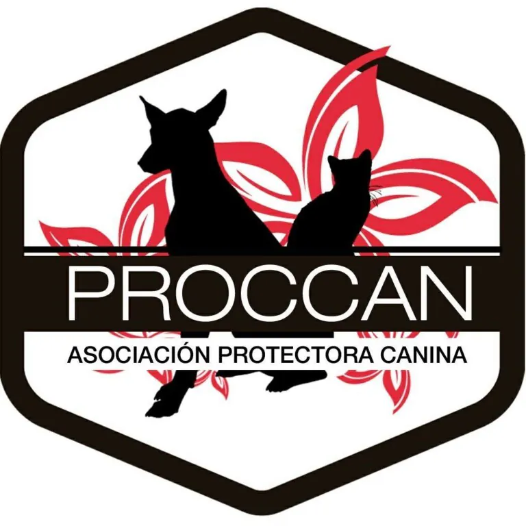 Procan logo 768x768