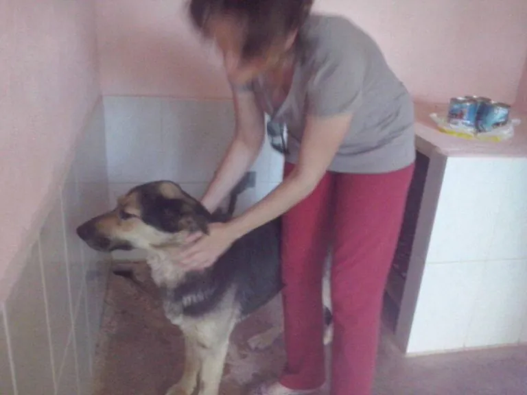 Proteccion de animales el bunker1 768x576