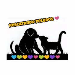 Rescatando Peludos logo 1