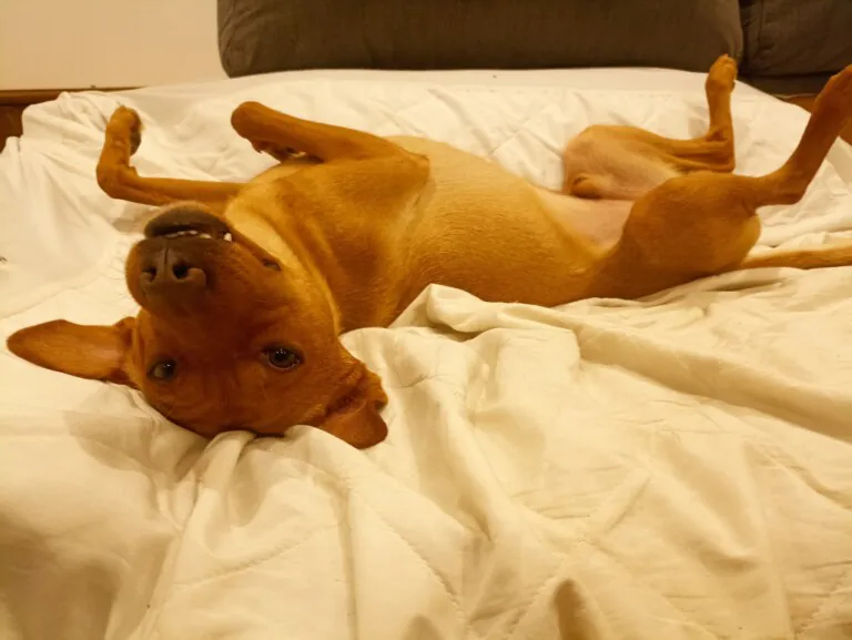 Union de huellas5 768x577