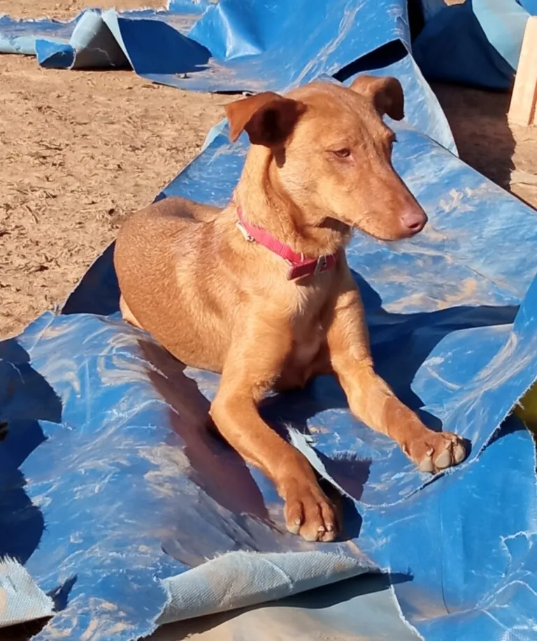 pequenos pasos dejan huella4 768x916