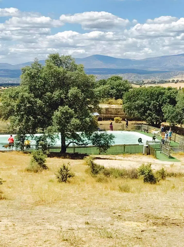 Campus perruno