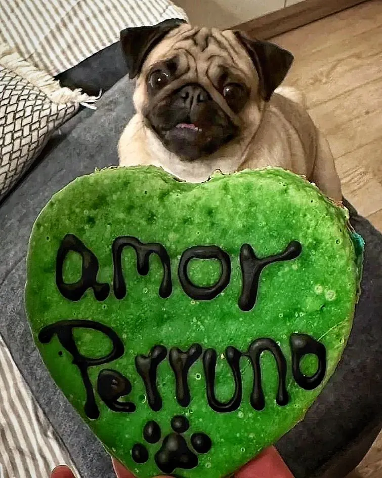 Miguitas reposteria perruna5