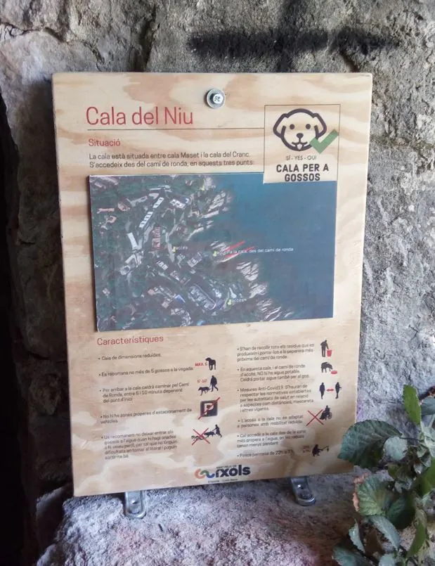 Playa para los perros en Costa Brava Cala del Niu2