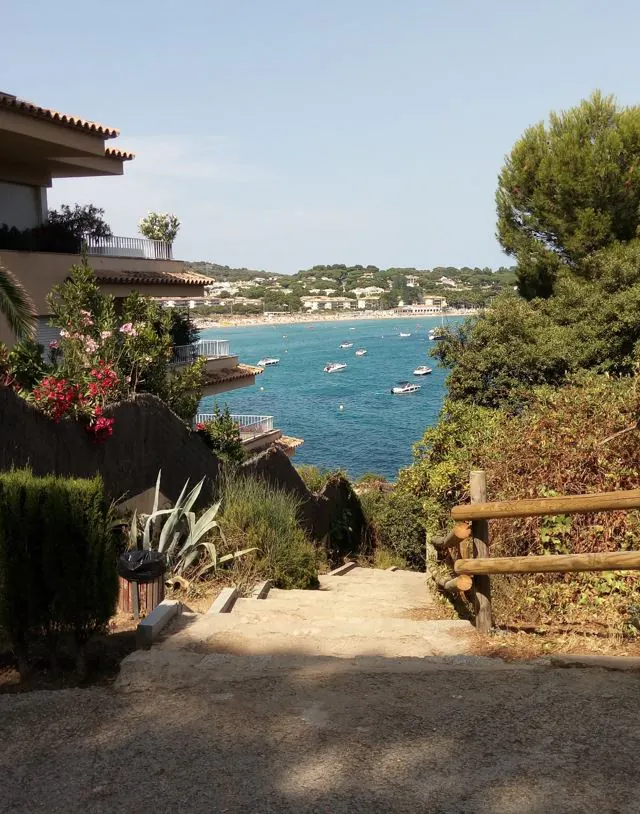 Playa para los perros en Costa Brava Cala del Niu5