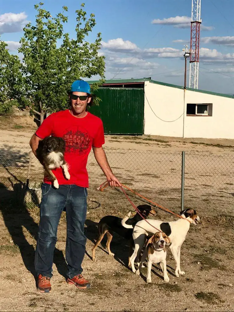 Residencia canina Sierracan6