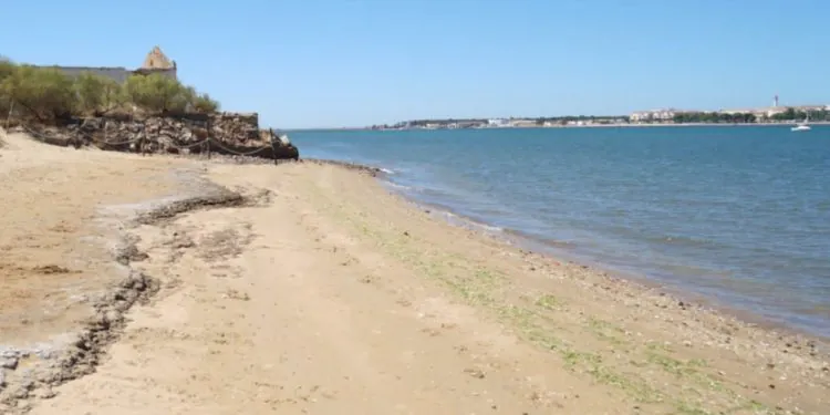 Ayamonte una playa canina ubicada en el Paraje Natural de Canela2