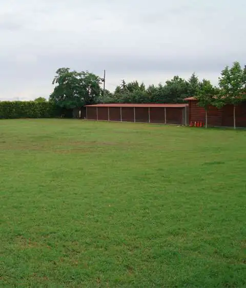 Gufy Residencia Canina y Felina en Madrid3 1