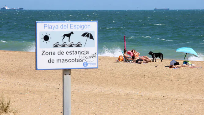 Playa de El Espigon
