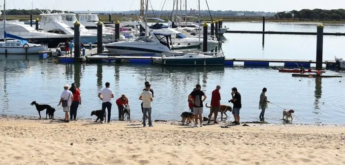 Playa de la Ria de Punta Umbria playa para perros en Huelva