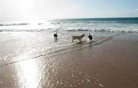Playa El Barranquet3