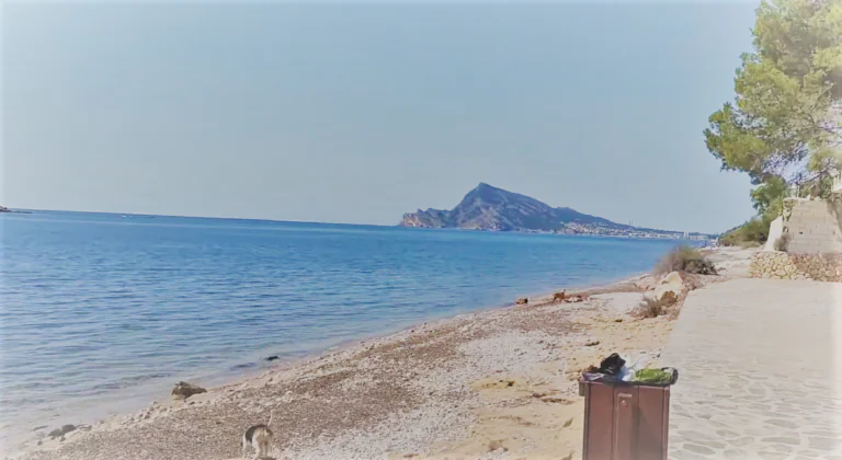 Playa canina de Mar y Montana2 768x420
