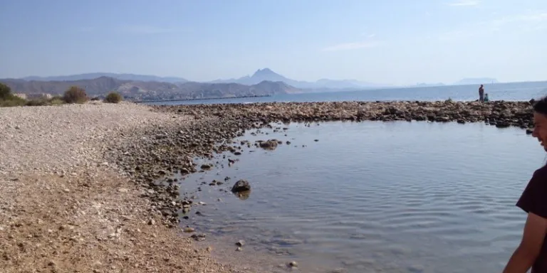 Playa de perros del Campello Punta del Riu2