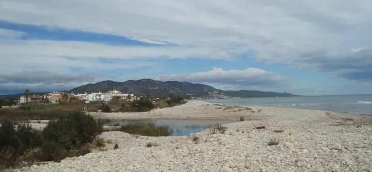 Playa para perros en Alcossebre