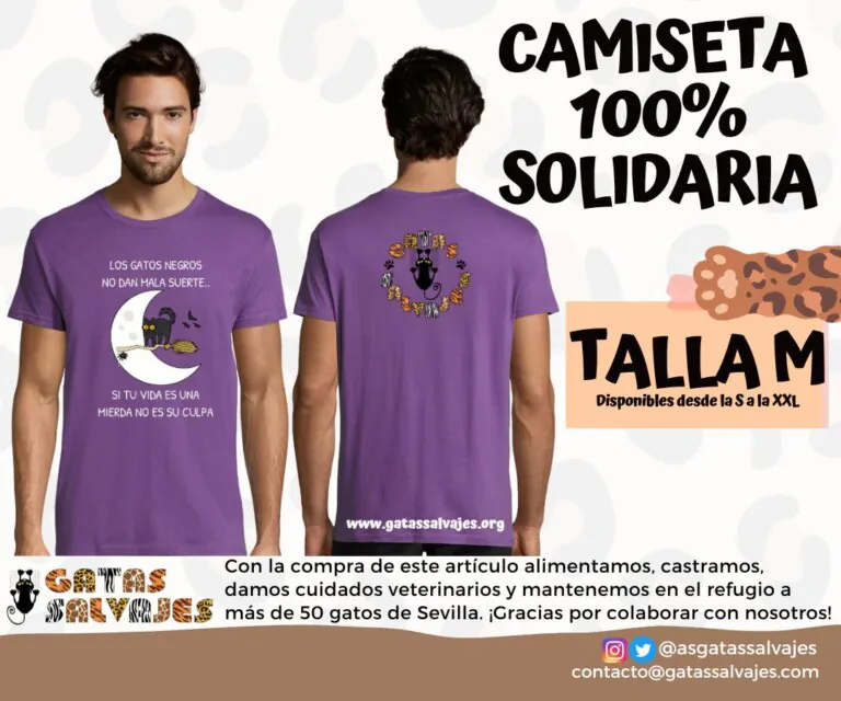 Asociacion Gatas Salvajes 768x640