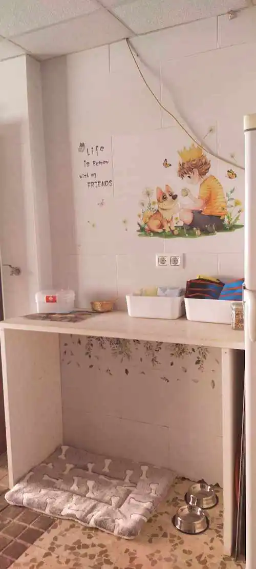 Vivienda vacacional en Jerez de la frontera5 1