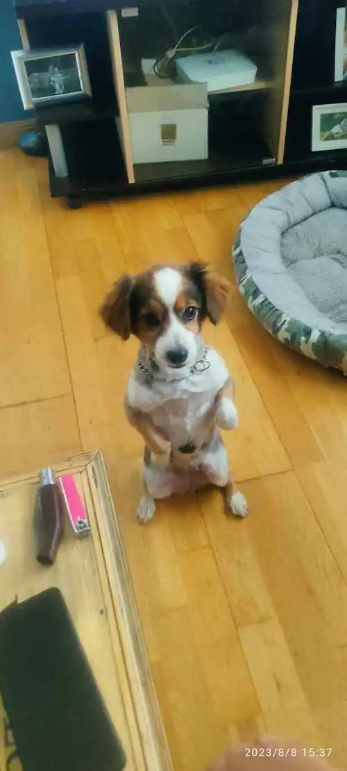 Vivienda vacacional en Jerez de la frontera6 2