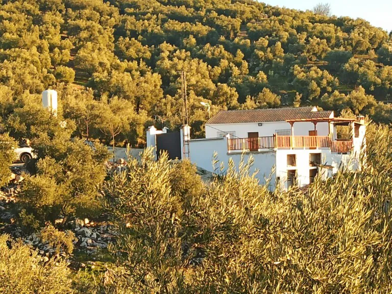 WhatsApp Image 2021 12 30 at 5.43.22 PM 2 768x576